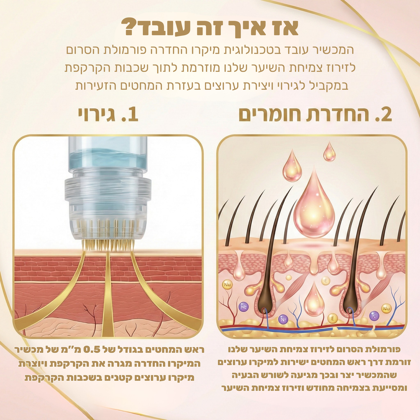 Revivex 1.0 - ערכה לטיפול ושיקום נשירת שיער והתקרחות