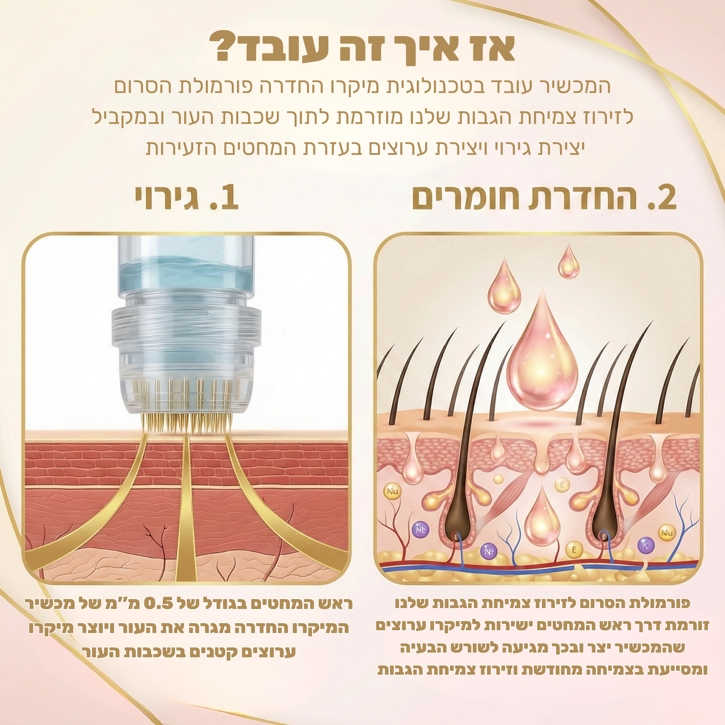 Revivex - ערכה לטיפול וצמיחת גבות